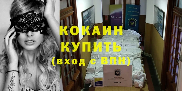сатива Михайловка