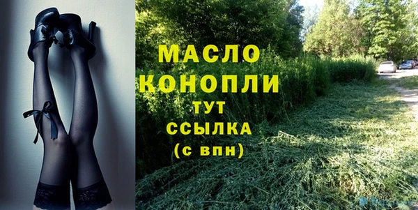 гидра Михайловск
